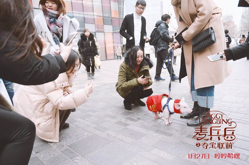 麦兵兵之夺宝联“萌”剧照的剧照