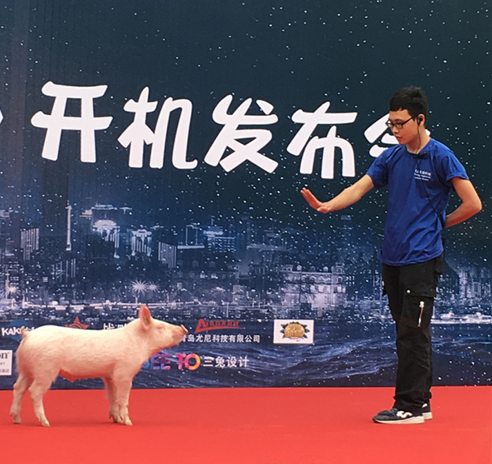 麦兵兵之夺宝联“萌”剧照的剧照