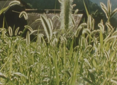 萌之朱雀剧照的剧照