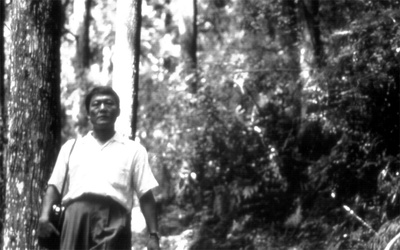 萌之朱雀剧照的剧照