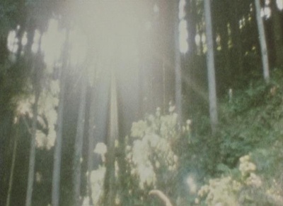 萌之朱雀剧照的剧照