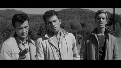 极度恐慌剧照的剧照