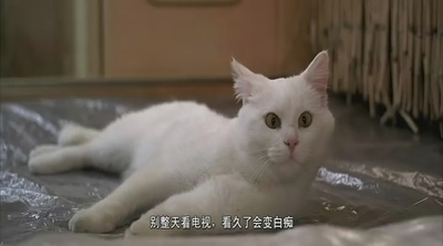 第五元素剧照的剧照