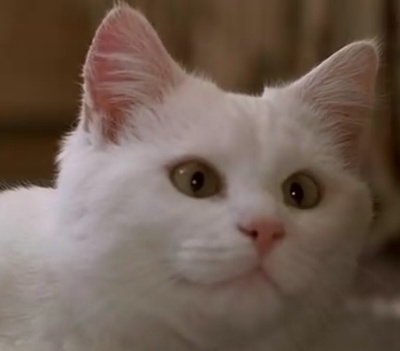 第五元素剧照的剧照