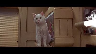 第五元素剧照的剧照