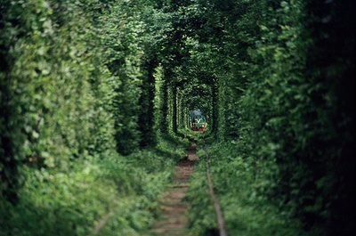 爱的隧道剧照的剧照