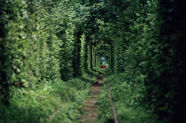 爱的隧道剧照的剧照