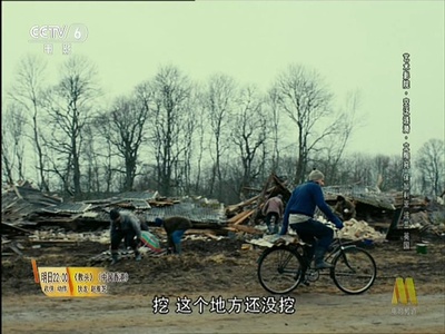 养猪场的奇迹剧照的剧照