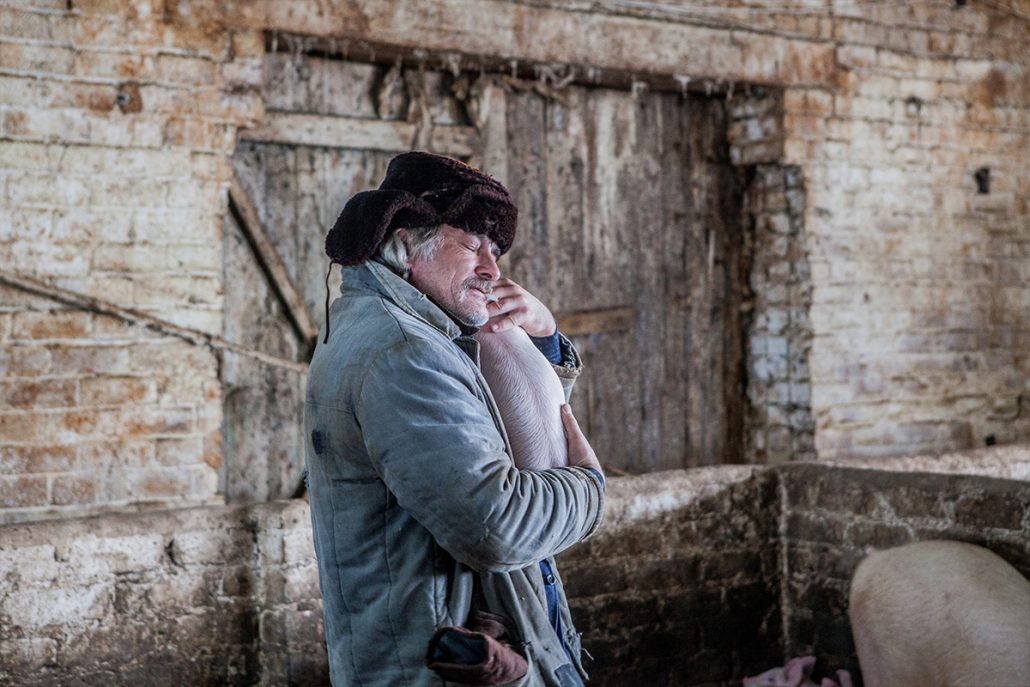 养猪场的奇迹剧照的剧照