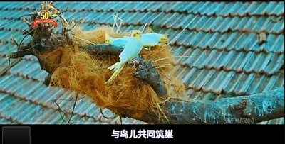 偶滴神啊剧照的剧照