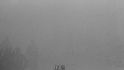 阿尔及尔之战剧照的剧照