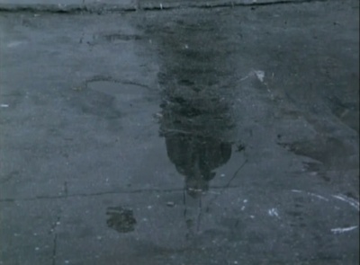 塞瑟岛之旅剧照的剧照