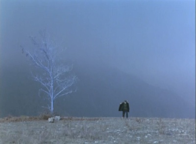 塞瑟岛之旅剧照的剧照