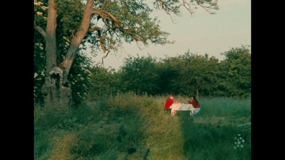 双姝奇缘剧照的剧照