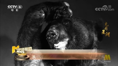 锦上添花剧照的剧照