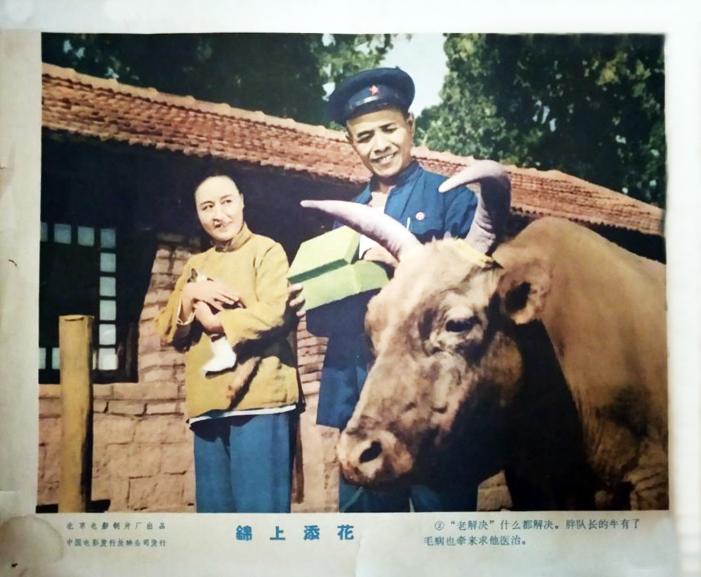 锦上添花剧照的剧照