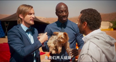 嫁我吧，哥们剧照的剧照