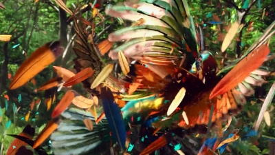 地心历险记2：神秘岛剧照的剧照