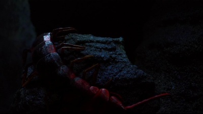 地心历险记2：神秘岛剧照的剧照