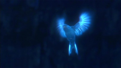 地心历险记2：神秘岛剧照的剧照