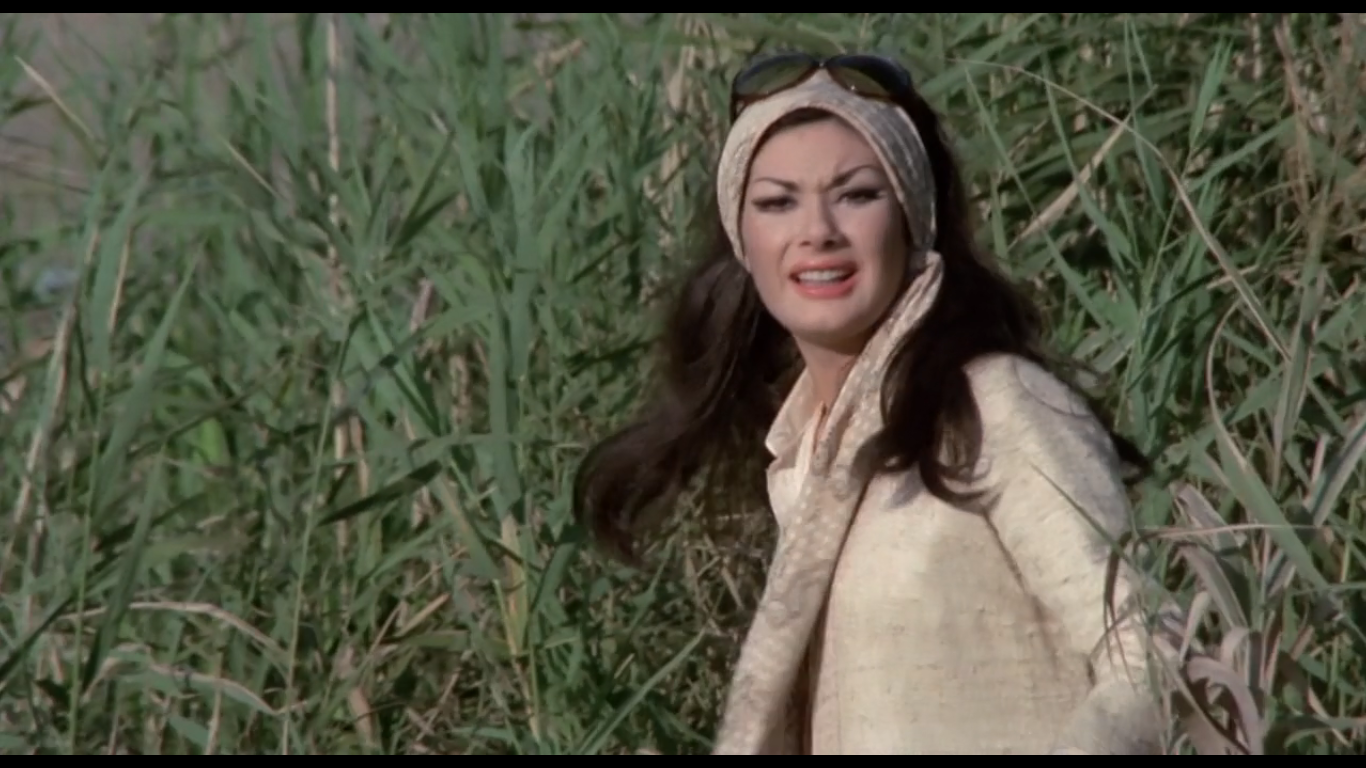 辣手娇娃剧照的剧照