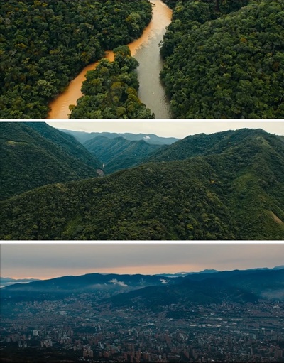 猴子剧照的剧照