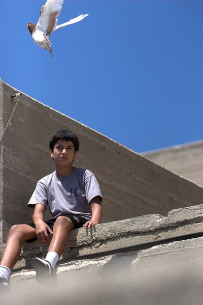 锡安与兄弟剧照的剧照