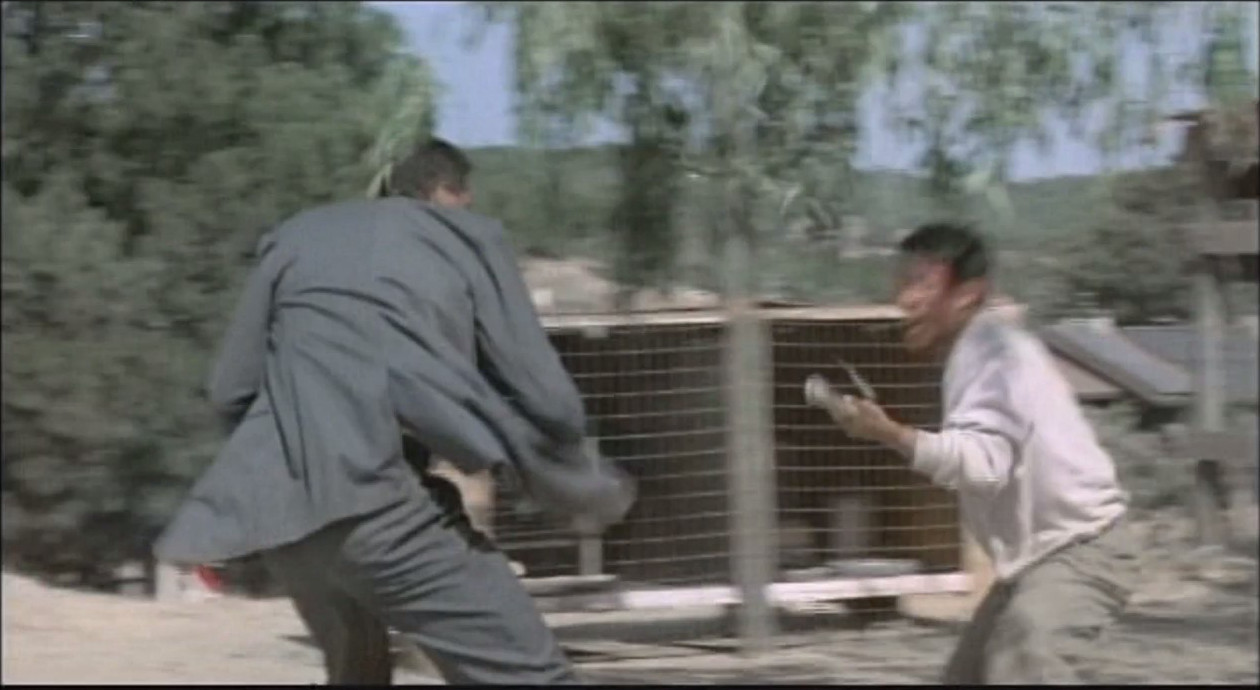 龙在天涯剧照的剧照