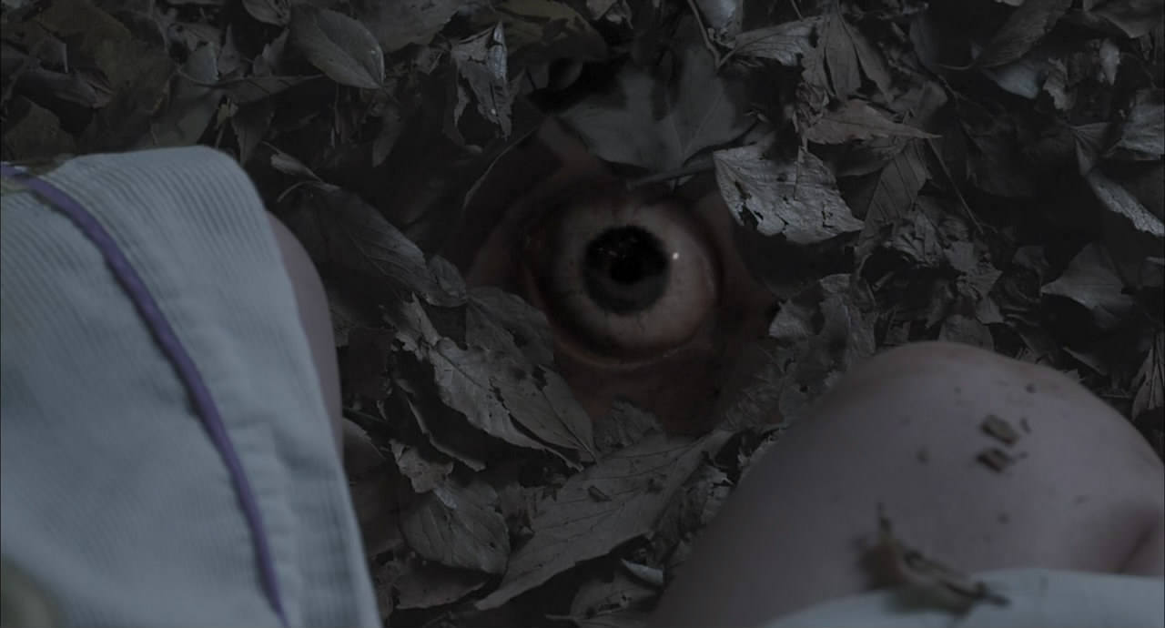 窥视之眸剧照的剧照