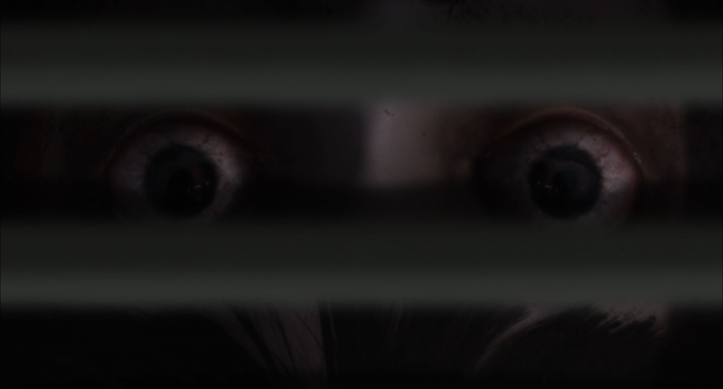 窥视之眸剧照的剧照