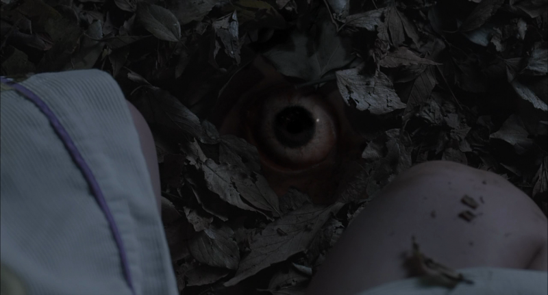 窥视之眸剧照的剧照