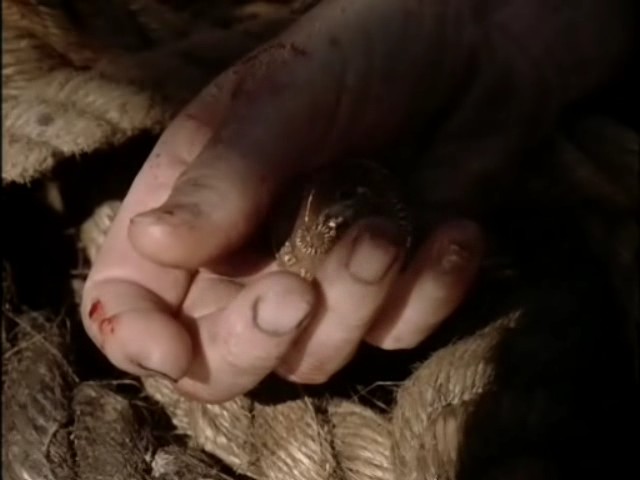 白鲸剧照的剧照