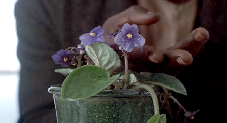 勇者无惧剧照的剧照