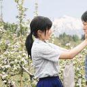 奇迹的苹果剧照