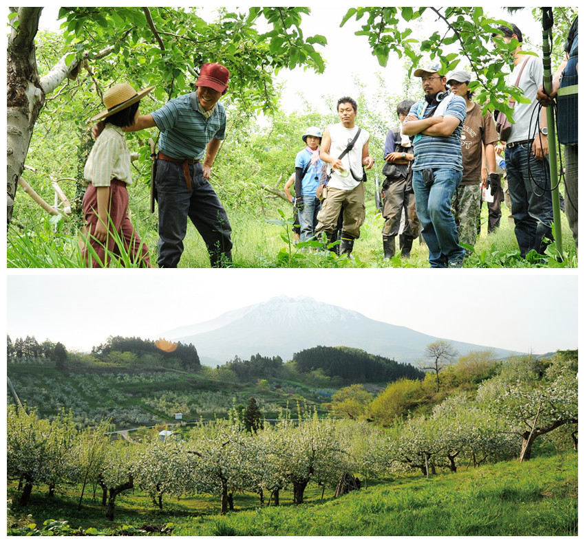 奇迹的苹果剧照的剧照