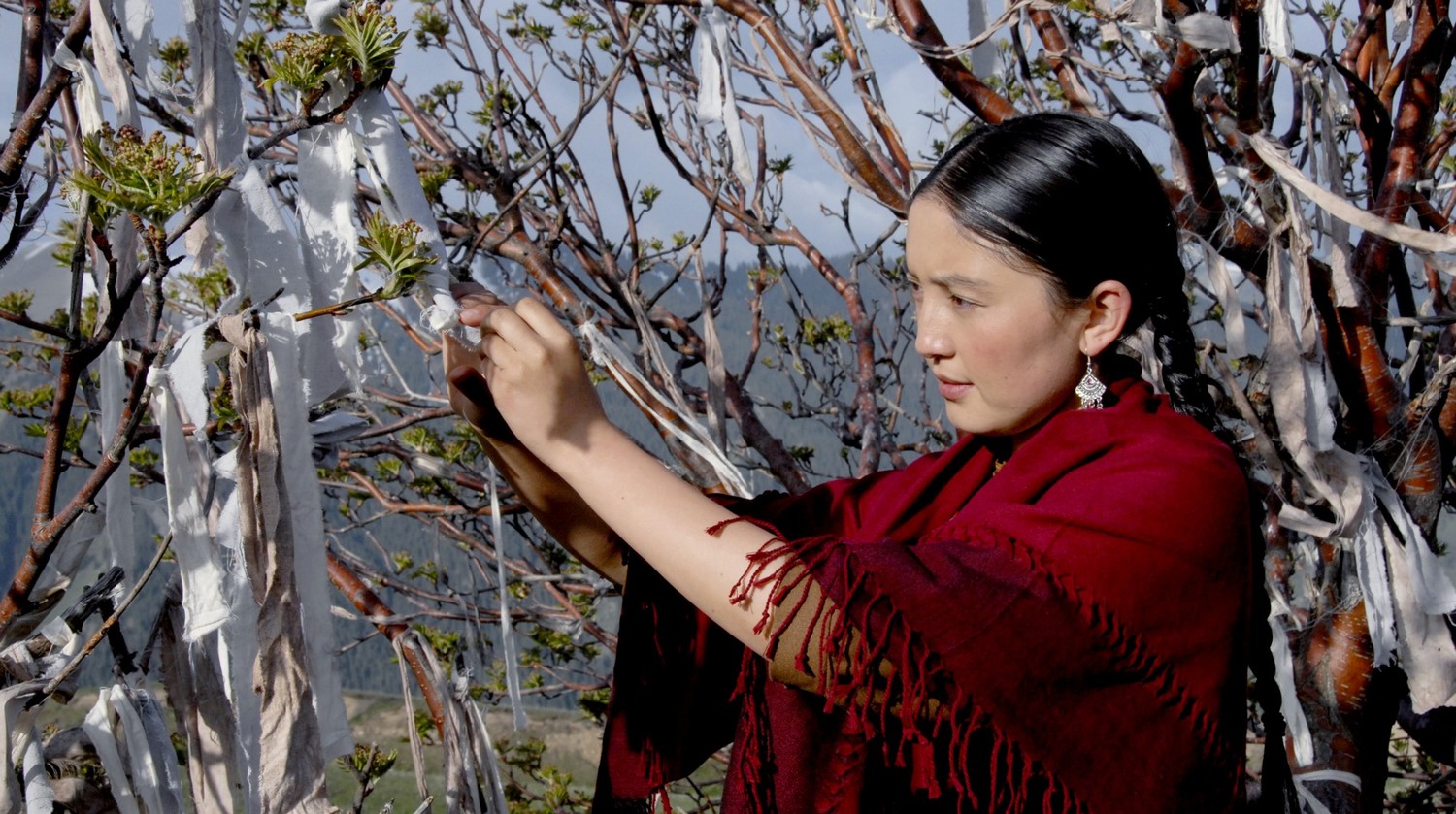 鲜花剧照的剧照