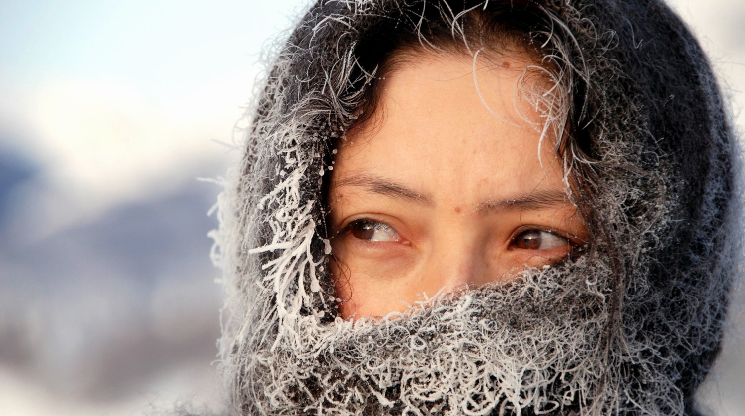 鲜花剧照的剧照