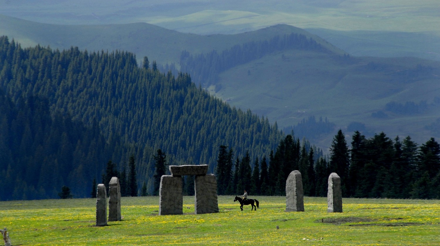 鲜花剧照的剧照