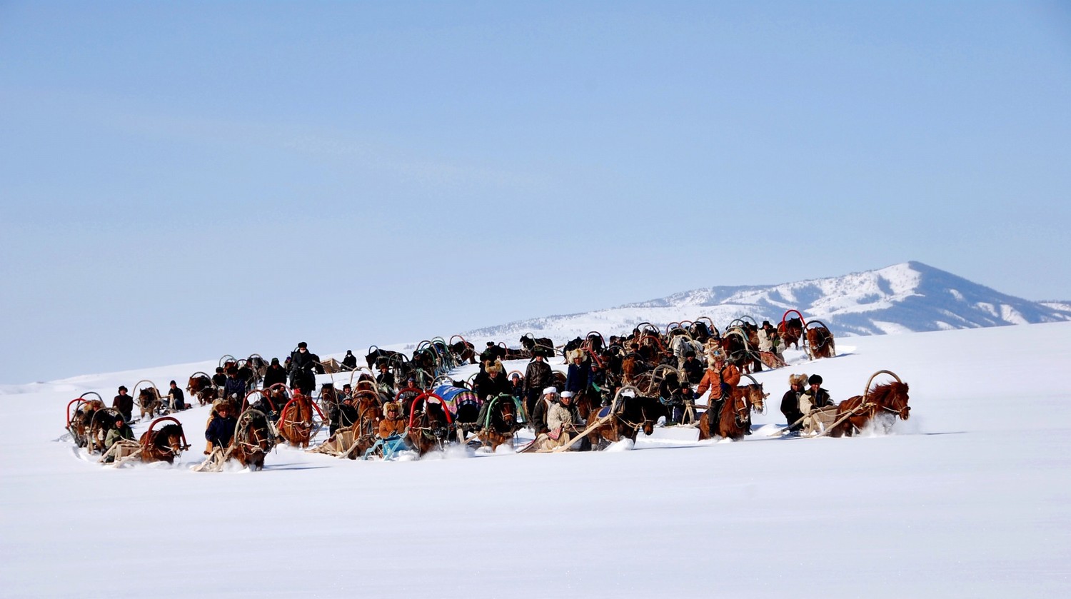 鲜花剧照的剧照