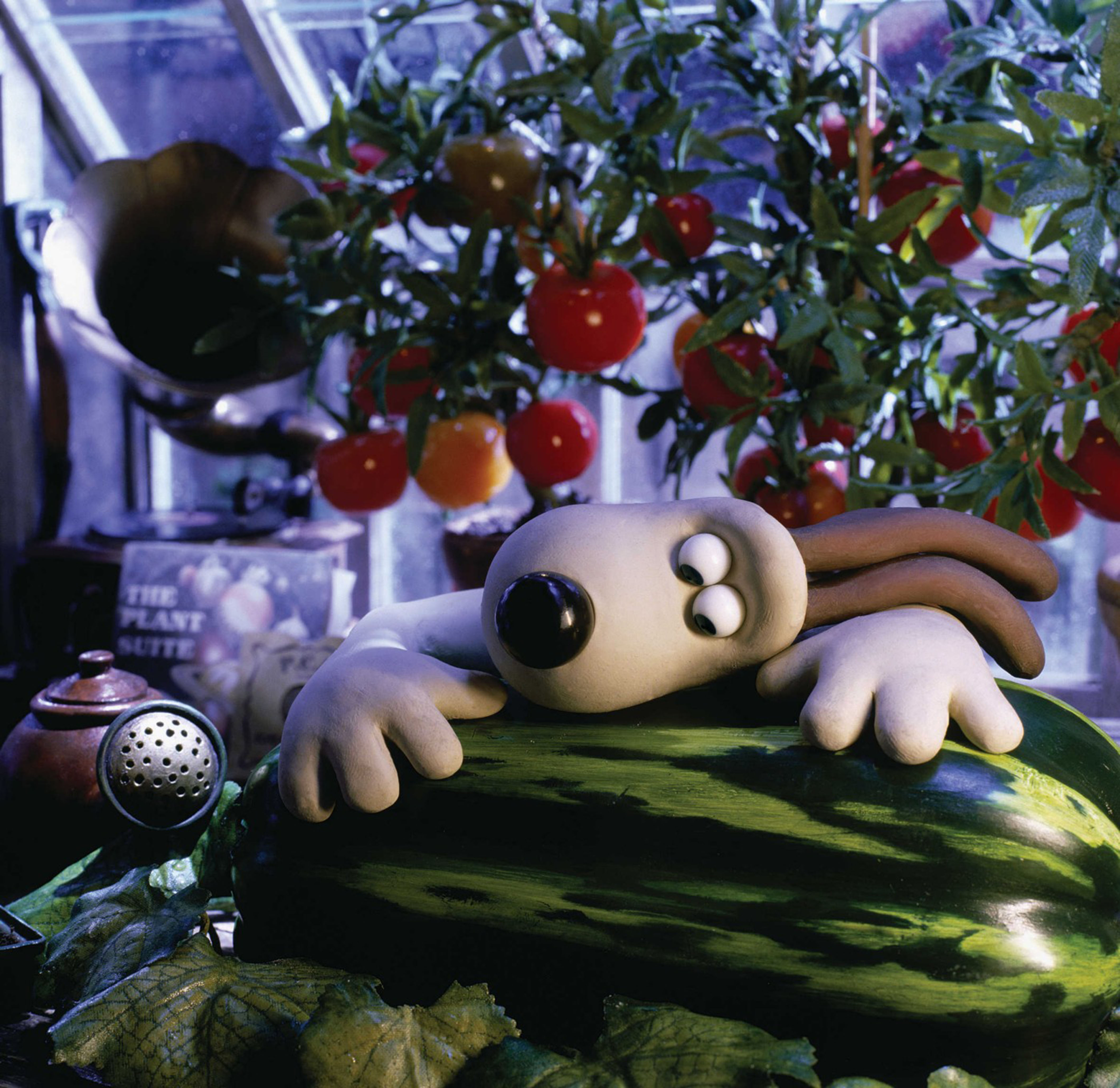 超级无敌掌门狗：人兔的诅咒剧照的剧照