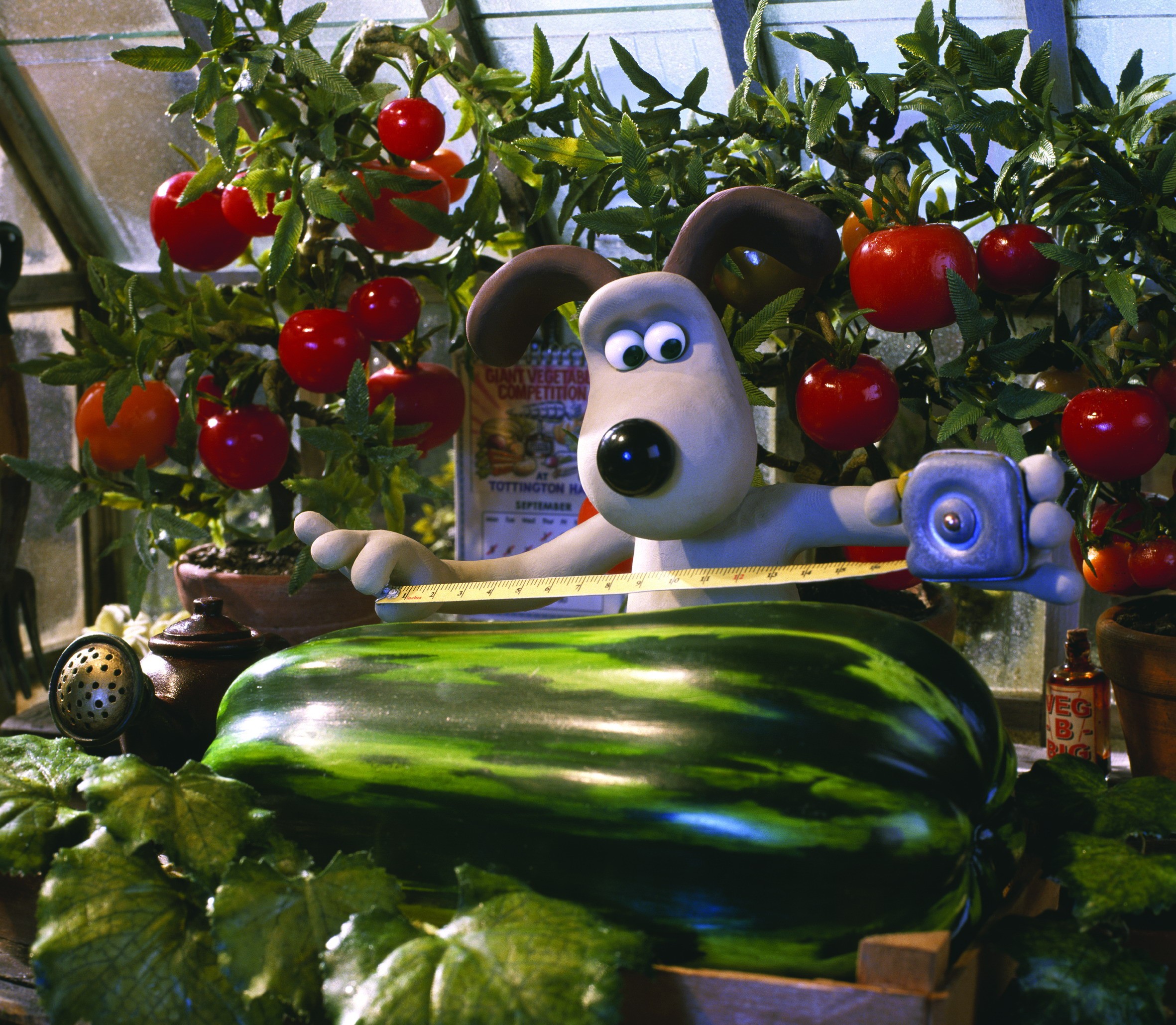 超级无敌掌门狗：人兔的诅咒剧照的剧照