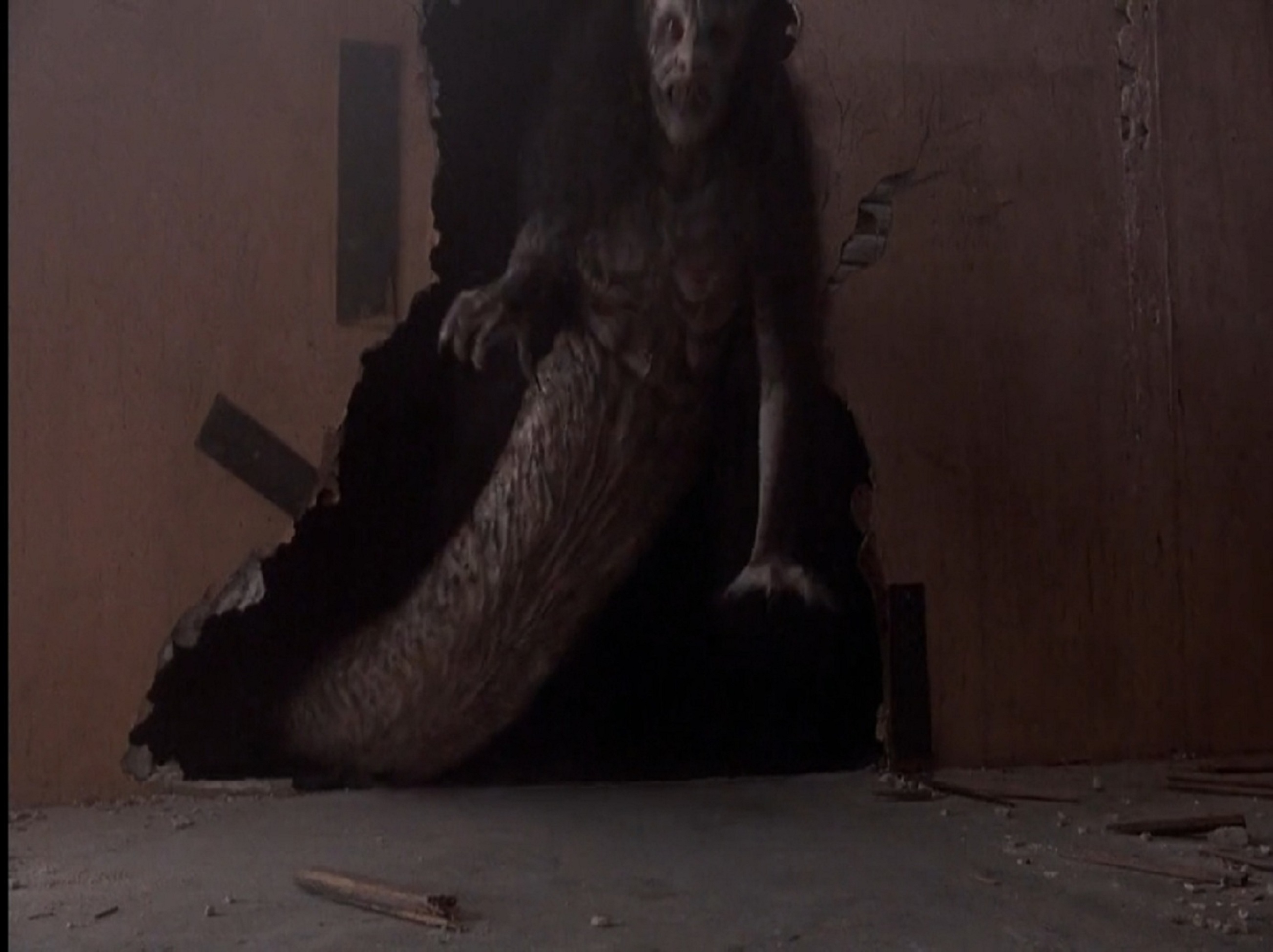 猛鬼舔人2剧照的剧照