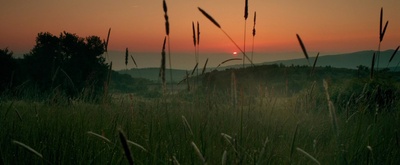 人皮脸剧照的剧照