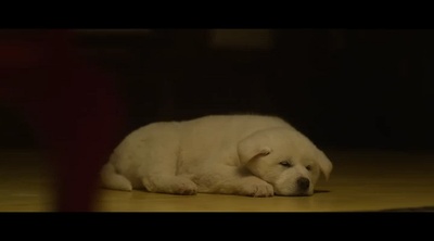 观相剧照的剧照