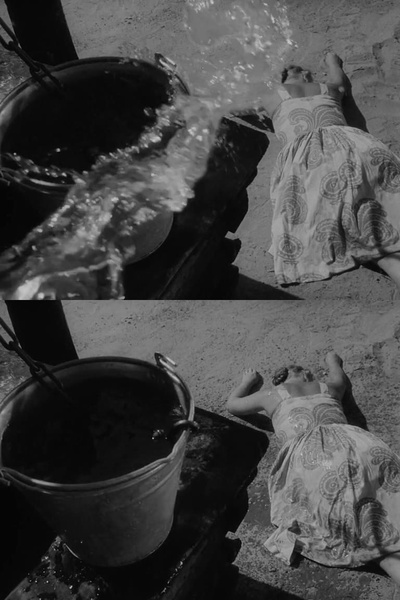 伊万的童年剧照的剧照