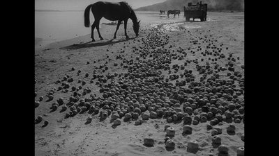 伊万的童年剧照的剧照