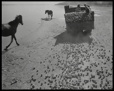 伊万的童年剧照的剧照