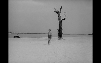 伊万的童年剧照的剧照