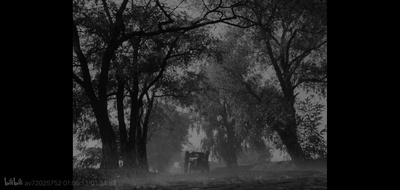 伊万的童年剧照的剧照