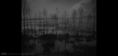 伊万的童年剧照的剧照